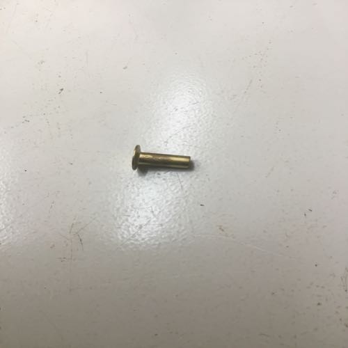 Brass rivot 7/16' long