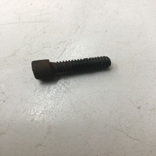Allen head cap screw 5/16'
