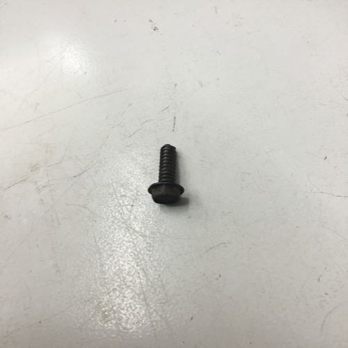 Screw