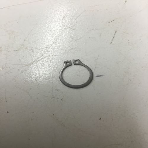 ring shaft