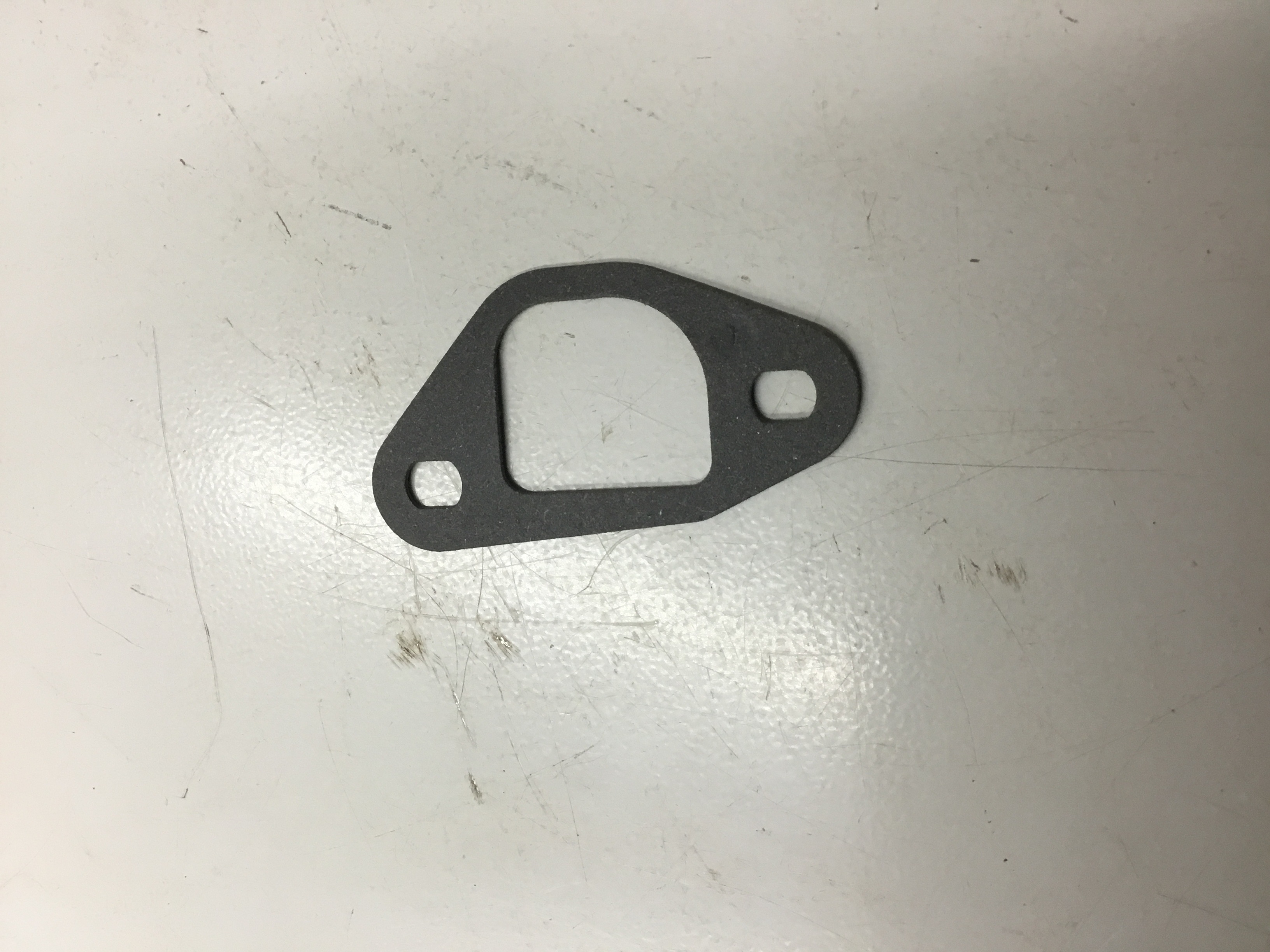 Intake Gasket