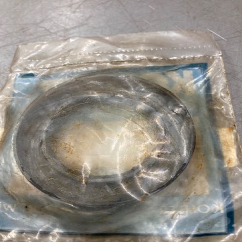 Oil seal