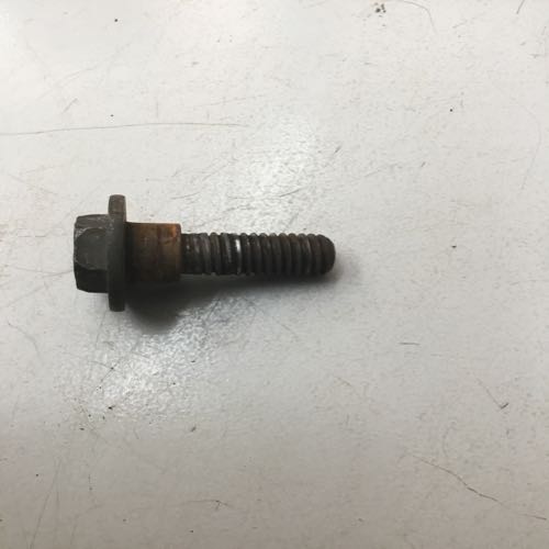 Bolt step special