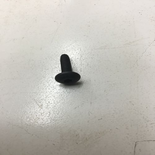 Screw