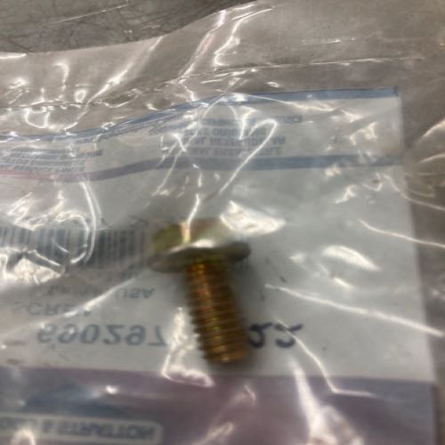 Screw