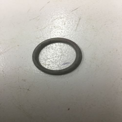 o-ring  973500