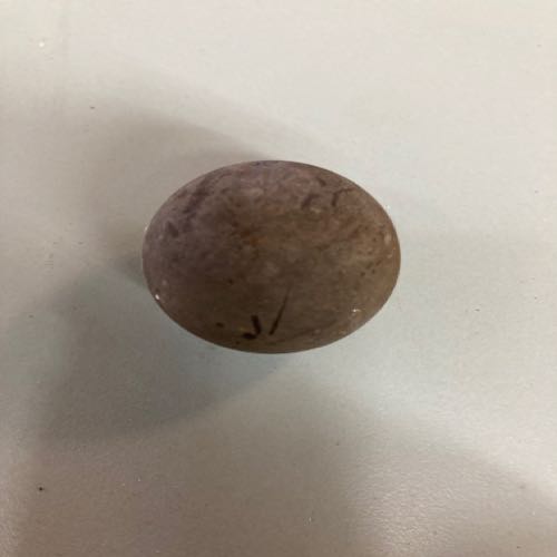 Knob for hi lo selector on 8 speed