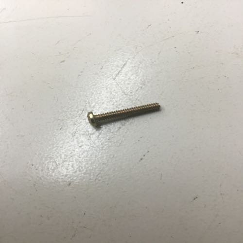 Screw