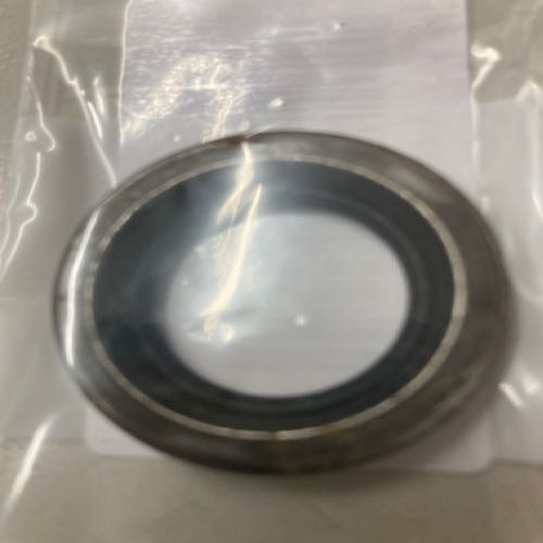 Oil seal