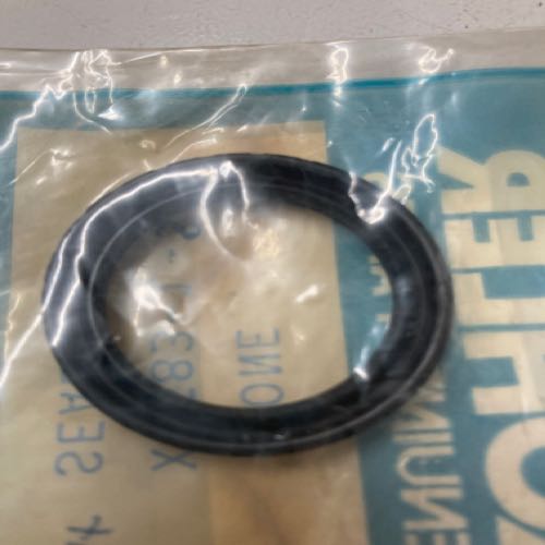 Oil seal